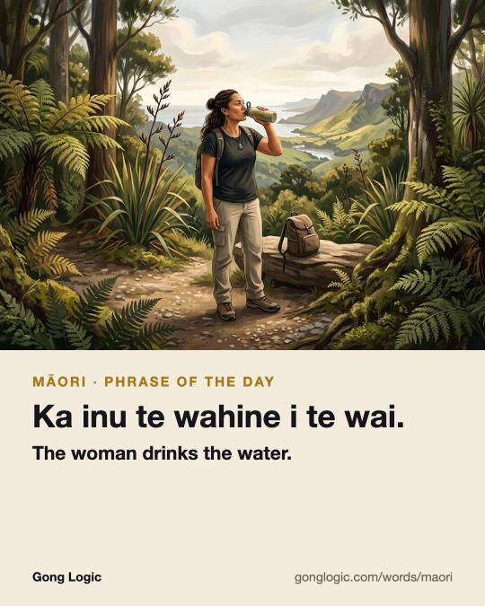 The Māori word Ka inu te wahine i te wai., illustrated