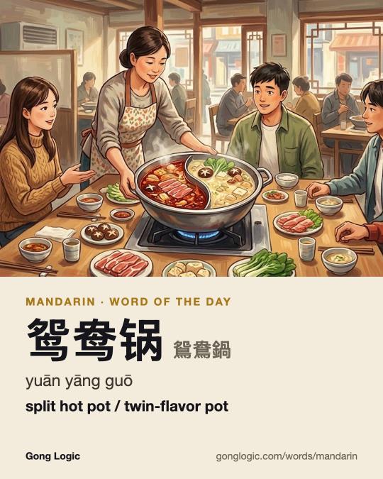 The Mandarin word 鸳鸯锅, illustrated