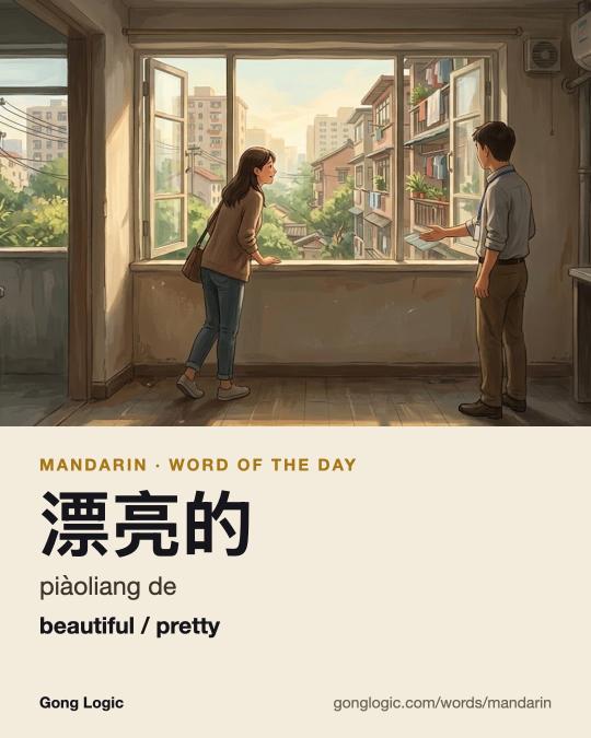 The Mandarin word 漂亮的, illustrated